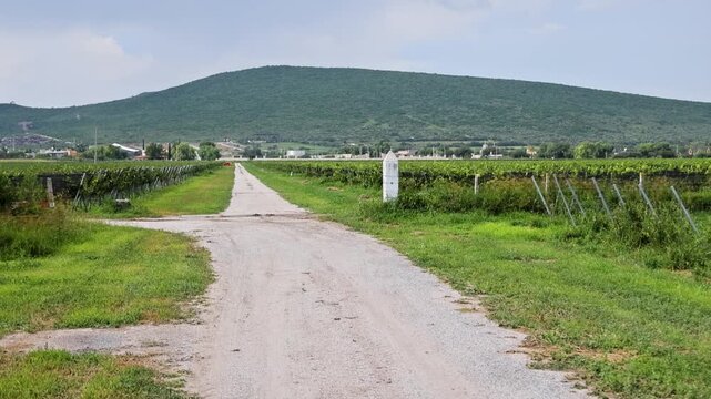 Gravel Vineyard Road Center Queretaro Wine Region Countryside Views