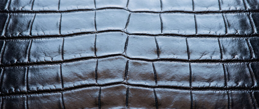 Black alligator skin texture pattern for luxury fashion designs  
