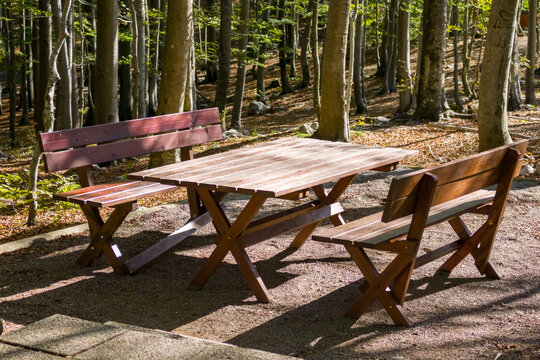 Rustic picnic table surrounded by woodland. Dappled sunlight, fallen leaves, and natural forest surroundings create a peaceful atmosphere associated with outdoor dining