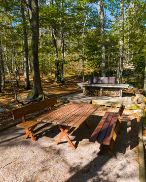 Wooden picnic tables and benches surround a built-in outdoor barbecue in a sunlit deciduous forest