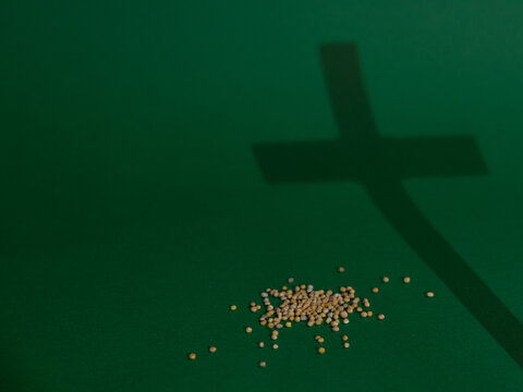 Cross Shadow and Mustard Seeds Representing the Parable of the Mustard Seed