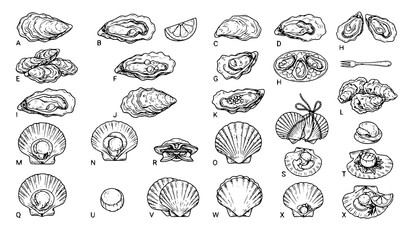 Obraz premium Hand Drawn Oysters and Scallops Seafood Delicacy Sketch Vector Set