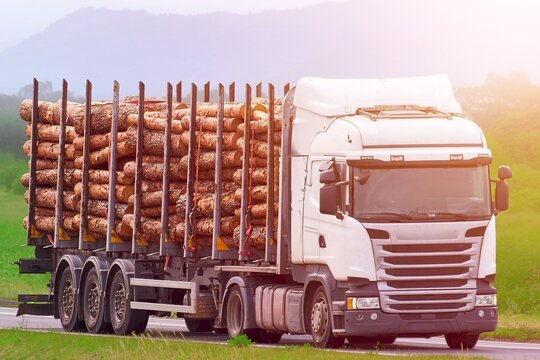 Timber freight truck driving through green nature