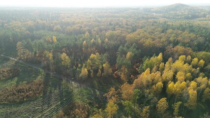 Autumn treetops in warm seasonal colors © AlexGo