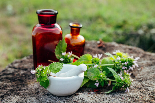 Flowering Black Horehound with Mortar and Herbal Glass Bottles