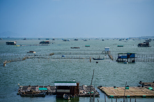 Aquaculture farms in Xa Vinh Hai