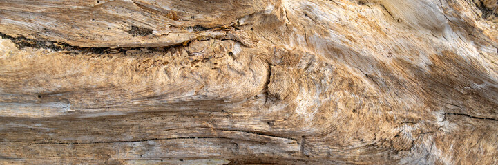 Old weathered wood grain texture, panoramic banner background. © Ilham
