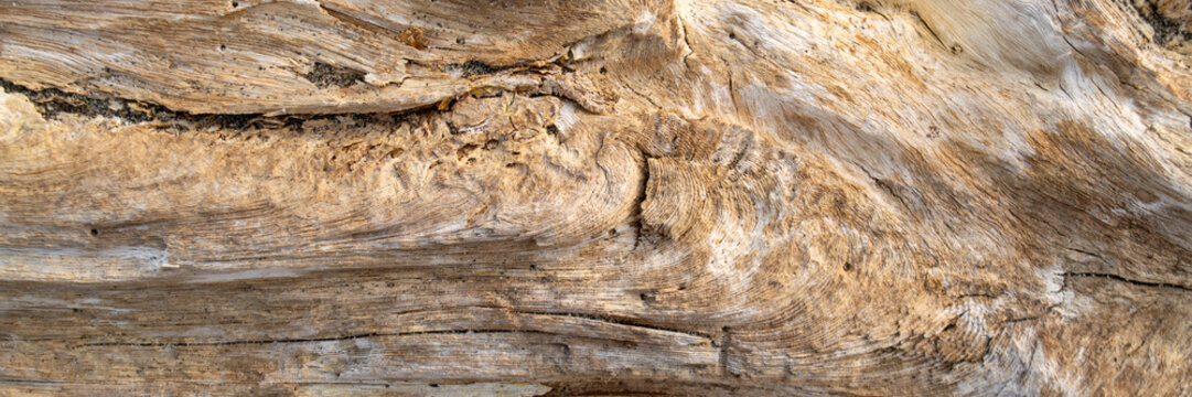 Old weathered wood grain texture, panoramic banner background.