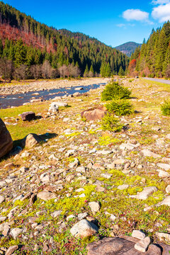 landscape with mountains, forest and a river in front. beautiful autumn scenery in the valley of Synevyr national park, Ukraine