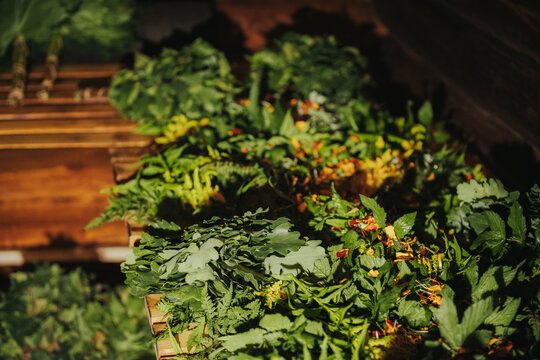 Fresh green herbs and leafy vegetables arranged on wooden shelves in a rustic market setting, showcasing a variety of textures and colors
