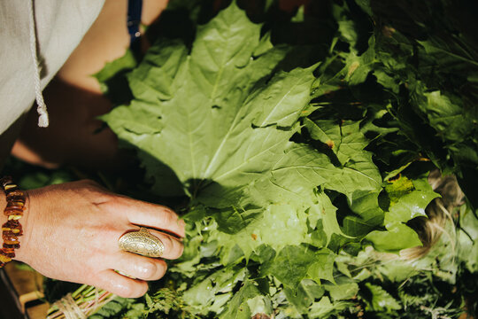 Close-up of a hand wearing a decorative ring, holding fresh green leaves in a basket, with various herbs and foliage visible in a natural setting
