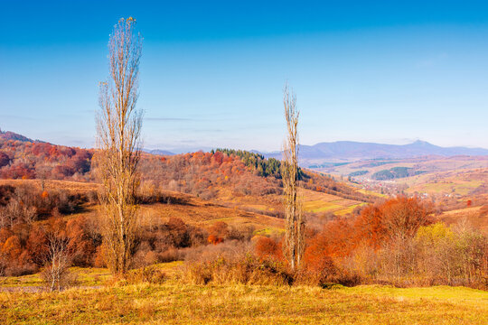 mountainous countryside scenery in the autumn. azure sky above the distant valley. fields and forest on the hill. beautiful nature view of Carpathians. rural background