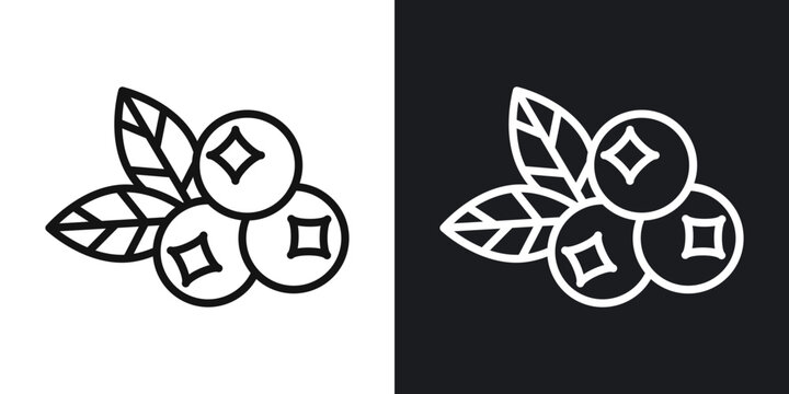 Blueberries icon flat outline in black