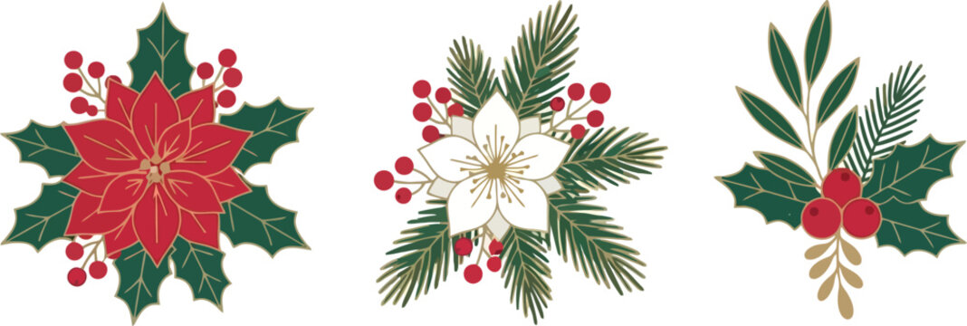 Christmas floral vector arrangement set with poinsettia, holly, and pine branches
