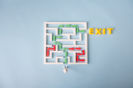 Finding the exit from a maze, problem solving and choosing the correct path