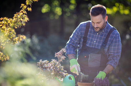 Gardener working in a sunny backyard on a weekend