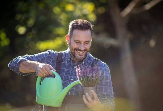 Gardener waters plants in sunny garden