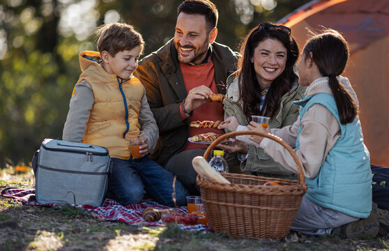 Family enjoys picnic in forest