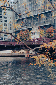 Chicago Fall