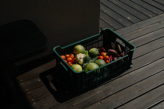 Fresh organic vegetables in a plastic crate on a wooden patio deck in natural sunlight