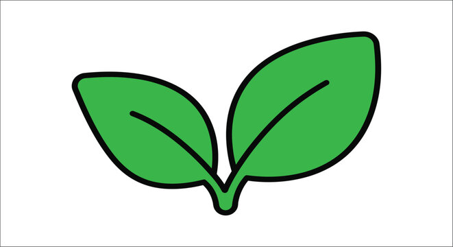 Two green leaves with black outlines are displayed against a white background foliage leafy greenery