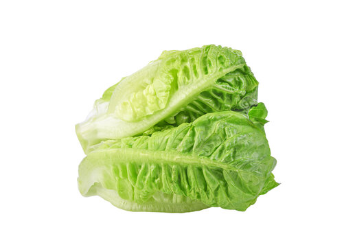 Fresh green cos lettuce isolated on transparent background. PNG