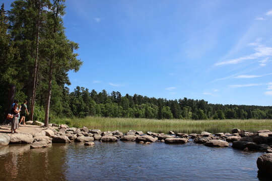 Lake Itasca and Mississippi River Headwaters at Itasca State Park Minnesota, Scenic Lake Itasca in Itasca State Park With Forest and Sunlit Water



