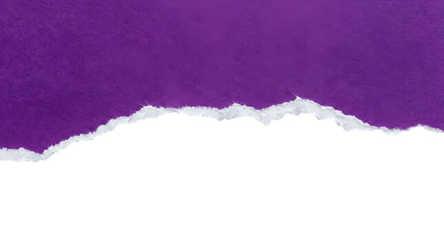 A piece of purple paper with a torn edge isolated on black background