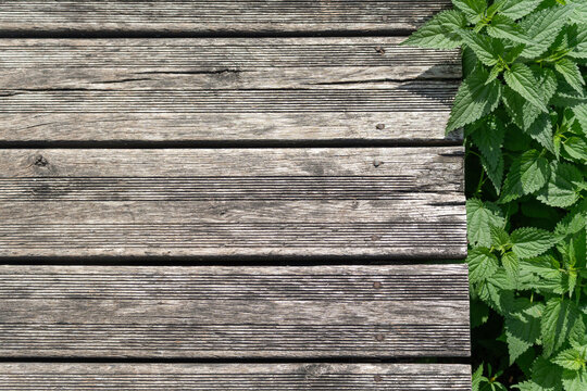 Old gray wood background, embossed, textured rustic plank surface.