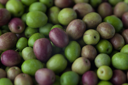 Fresh green and purple olives