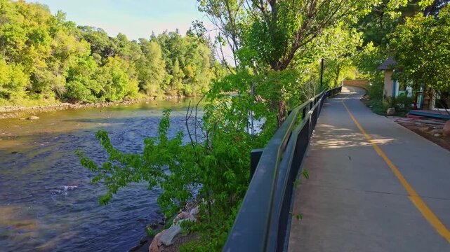 Early morning sunlight illuminates the serene flowing waters of the Animas River bordered by verdant trees in Durango Colorado
