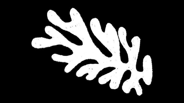 Hand-drawn white chalk abstract leaf shape element drawing on alpha 7