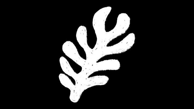 Hand-drawn white chalk abstract leaf shape element drawing on alpha 6