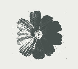 Obraz premium Black hibiscus flower in distressed halftone engraving style on light background, tropical botanical floral design with grunge texture, vector illustration