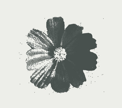 Black hibiscus flower in distressed halftone engraving style on light background, tropical botanical floral design with grunge texture, vector illustration