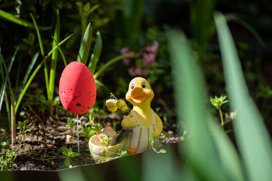 cute easter duck figurine with red egg decoration in garden