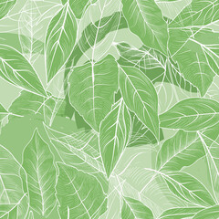Obraz premium Seamless pattern with hand drawing leaves. Branch, leaves, herb tea flourish gentle texture. Floral nature garden textured background