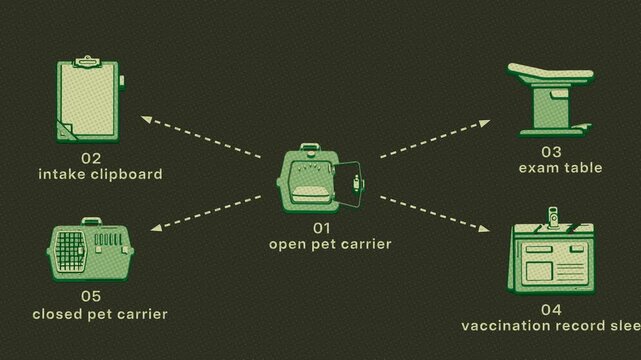 Veterinary intake moves through examination and vaccination documentation to a completed discharge handoff. Flat 3D style printed in two inks; objects numbered and labelled in English.