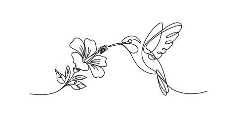 Fototapeta premium Continuous single line drawing of a small hummingbird bird flying to drink nectar from a beautiful tropical hibiscus flower