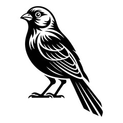 Fototapeta premium A detailed bird illustration presents a striking black silhouette