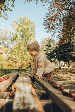Little boy in warm knitwear playing with chestnuts on bench in sunny autumn park