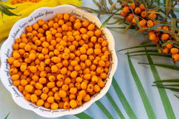 Sea buckthorn berries in bowl on background with copy space © Светлана Высокос