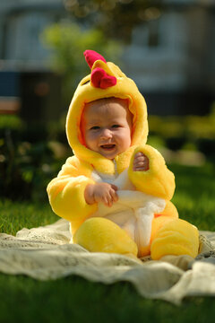 Cute baby in funny chicken costume sitting on green grass outdoors on sunny summer day