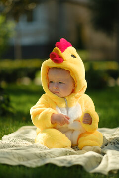 Cute baby in funny chicken costume sitting on green grass outdoors on sunny summer day