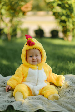 Cute baby in funny chicken costume sitting on green grass outdoors on sunny summer day