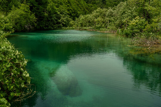 A lake in a forest with visible stones at the bottom. Ecosystem preservation, environmental sustainability and nature conservation
