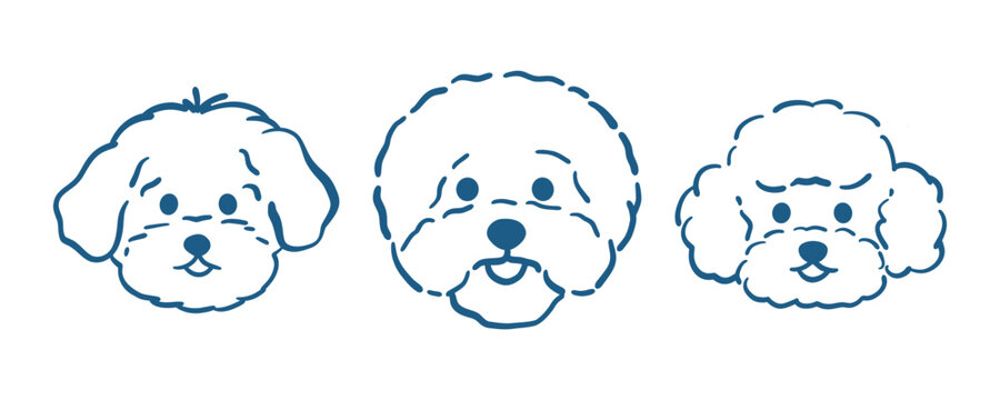 Three outline dog faces featuring Bichon Frise, Poodle, and Maltese breeds. Clean vector illustration for pet grooming, breed identification, animal care, and salon services.