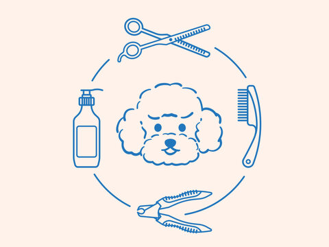 Poodle dog face surrounded by grooming tools including clippers, brush, comb, and scissors. Vector illustration representing pet hygiene, fur care, styling, and professional grooming services.