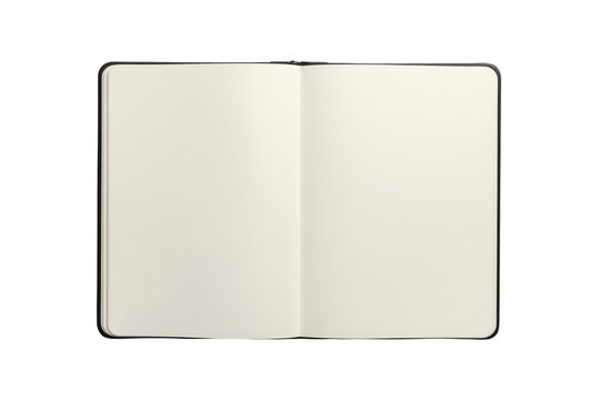 Cream open journal displaying two empty pages