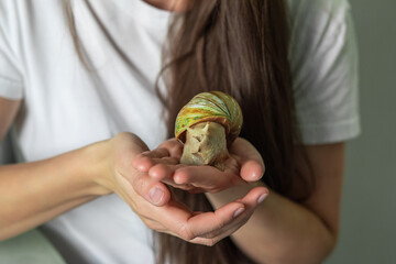 Unrecognizable woman holding giant African land snail with soft focus © evakerrigan